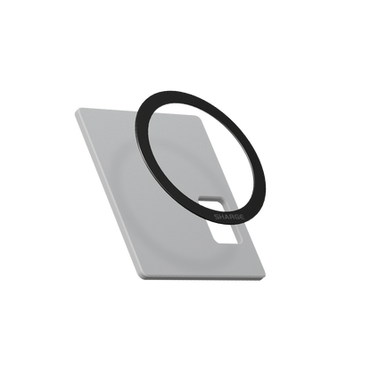 Magnetic Module for Disk Plus